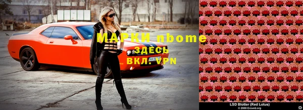 амф Липки