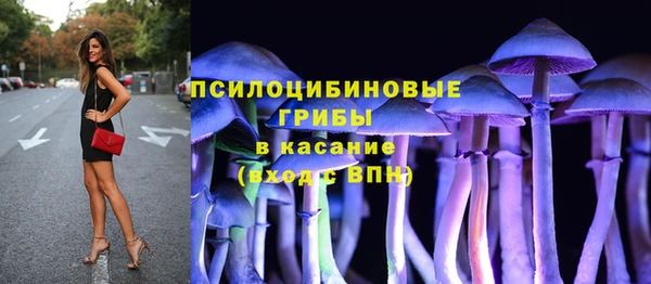 дживик Лихославль