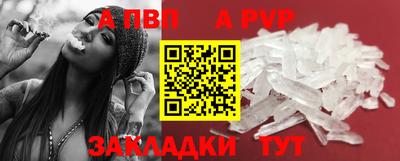 герыч Кингисепп