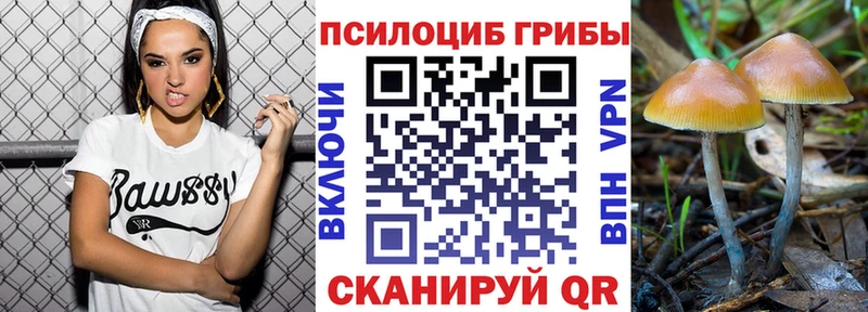 Галлюциногенные грибы Psilocybe  Рассказово 