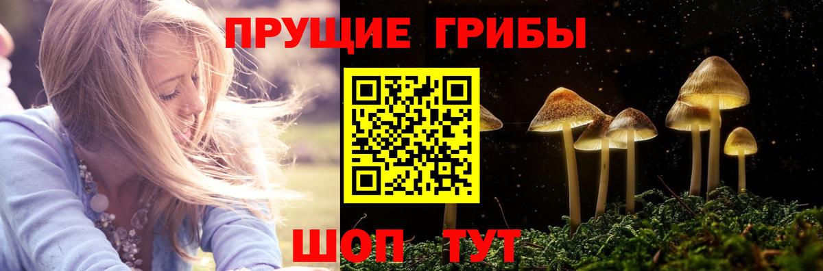 Галлюциногенные грибы GOLDEN TEACHER  Галлюциногенные грибы Cubensis  Рассказово  Вход с VPN 
