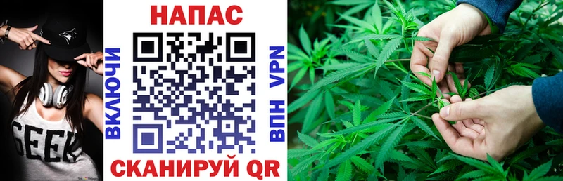 что такое   Рассказово  Канабис семена 